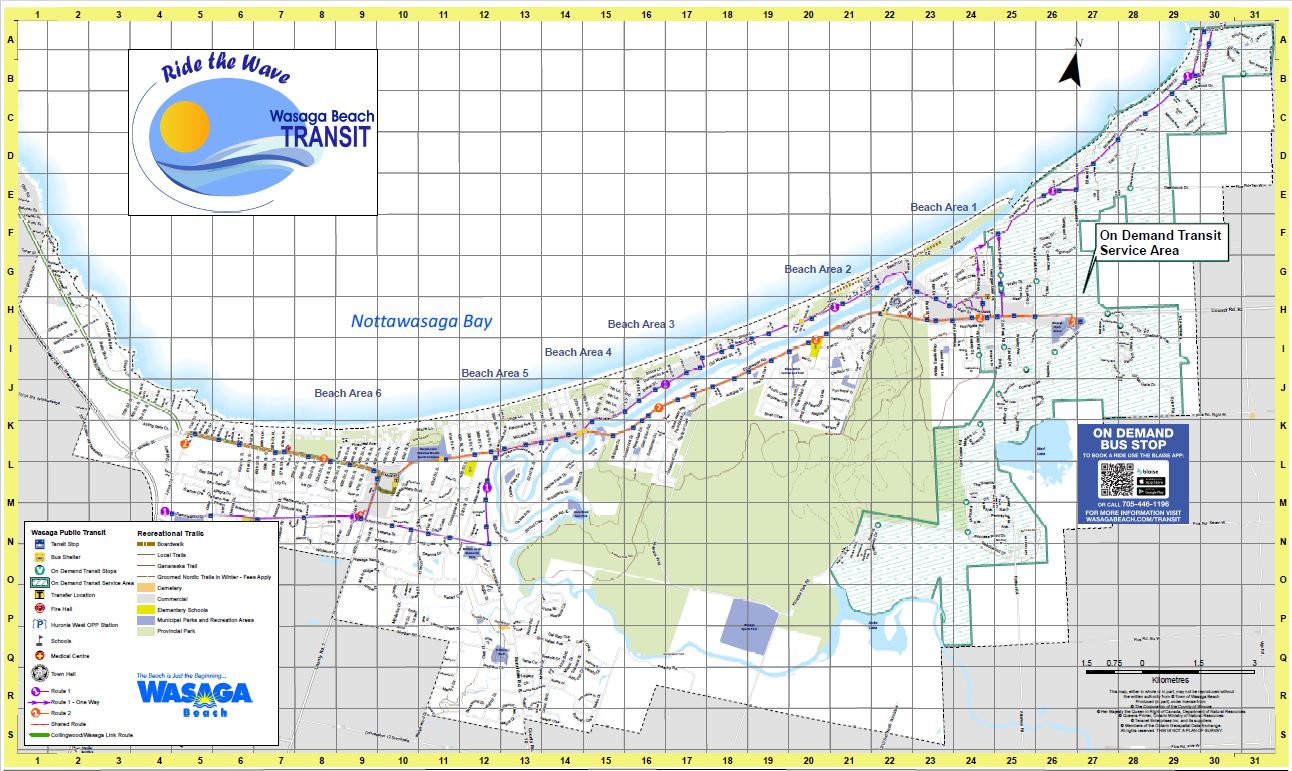 Blaise On Demand Transit Map